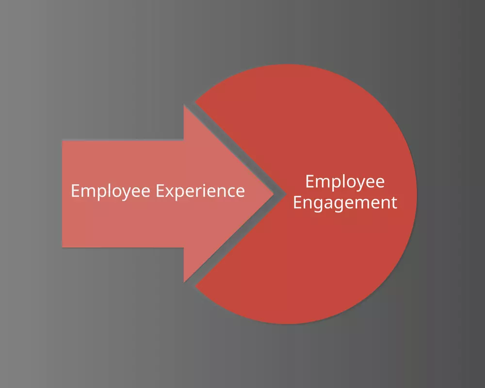 employee experience vs engagement