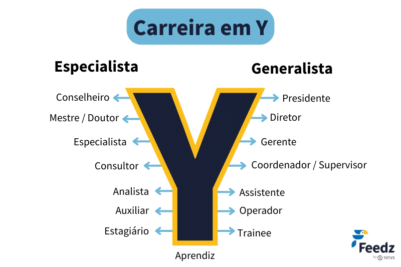 Imagem da letra Y para ilustrar os dois caminhos para seguir na carreira em Y: especialista ou generalista. 